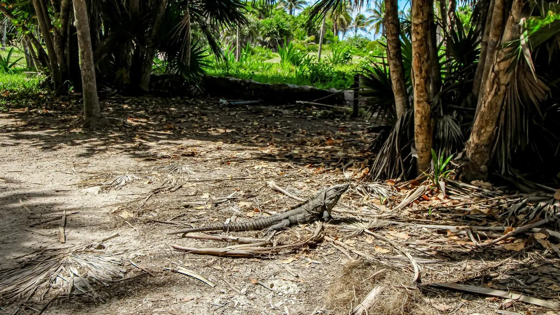Hotel Aldea Zama Tulum 0*,  México